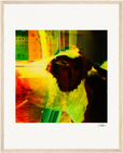 In the Eye Framed print 40x50 cm / 16x20″ Wood frame 19