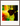 In the Eye Framed print 45x60 cm / 18x24″ Dark wood frame 29