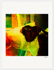 In the Eye Framed print 45x60 cm / 18x24″ White frame 11