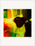 In the Eye Framed print 45x60 cm / 18x24″ White frame 11