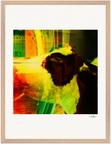 In the Eye Framed print 45x60 cm / 18x24″ Wood frame 20