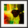 In the Eye Framed print 50x50 cm / 20x20″ Black frame 30