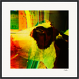 In the Eye Framed print 50x50 cm / 20x20″ Black frame 39