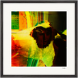 In the Eye Framed print 50x50 cm / 20x20″ Black frame 30