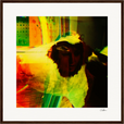 In the Eye Framed print 50x50 cm / 20x20″ Dark wood frame 30