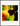 In the Eye Framed print 60x80 cm / 24x32″ Black frame 40