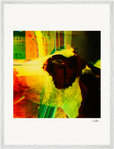In the Eye Framed print 60x80 cm / 24x32″ White frame 13