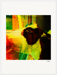 In the Eye Framed print 60x80 cm / 24x32″ White frame 13