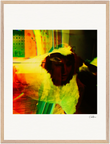 In the Eye Framed print 60x80 cm / 24x32″ Wood frame 22