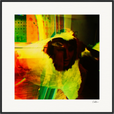 In the Eye Framed print 70x70 cm / 28x28″ Black frame 41