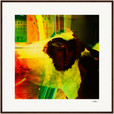 In the Eye Framed print 70x70 cm / 28x28″ Dark wood frame 32
