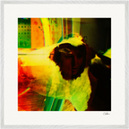 In the Eye Framed print 70x70 cm / 28x28″ White frame 14