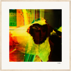 In the Eye Framed print 70x70 cm / 28x28″ Wood frame 23