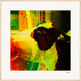 In the Eye Framed print 70x70 cm / 28x28″ Wood frame 23