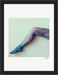 Lacey Leg Framed print 15x20 cm / 6x8″ Black frame 40