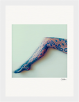 Lacey Leg Framed print 15x20 cm / 6x8″ White frame 7
