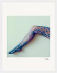 Lacey Leg Framed print 27x35 cm / 11x14″ White frame 9