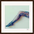Lacey Leg Framed print 30x30 cm / 12x12″ Dark wood frame 32