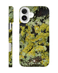 Moss Phone Case iPhone 16 Plus 12