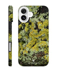 Moss Phone Case iPhone 16 Plus 14
