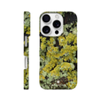 Moss Phone Case iPhone 16 Pro 10
