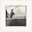 Ready to Fly Framed print 50x50 cm / 20x20″ White frame 15