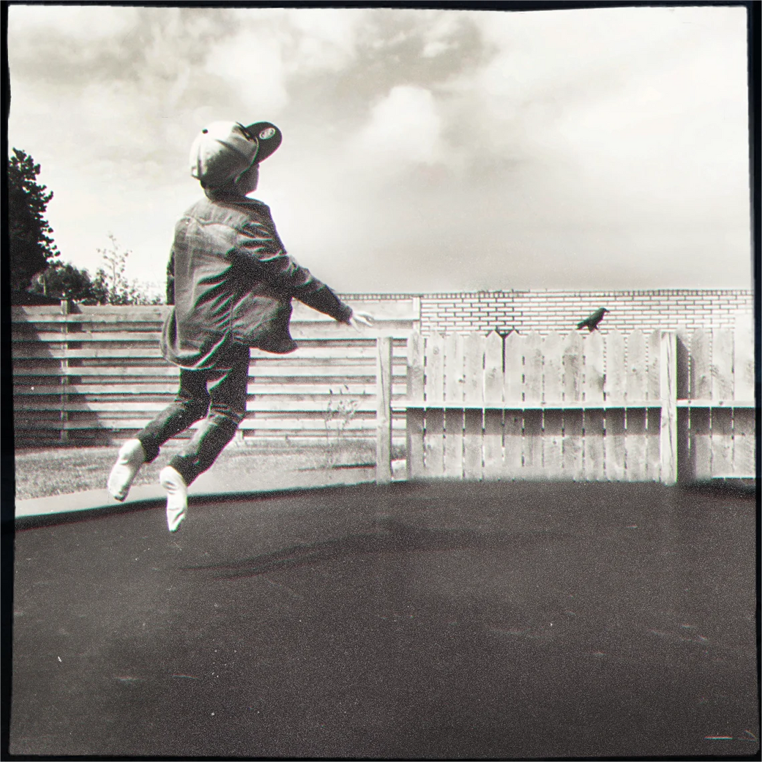 Ready to Fly, Photo Art by ClaraXenia