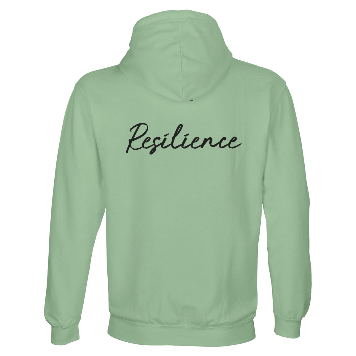 Resilience - "Wash It" Hoodie frozen green 2