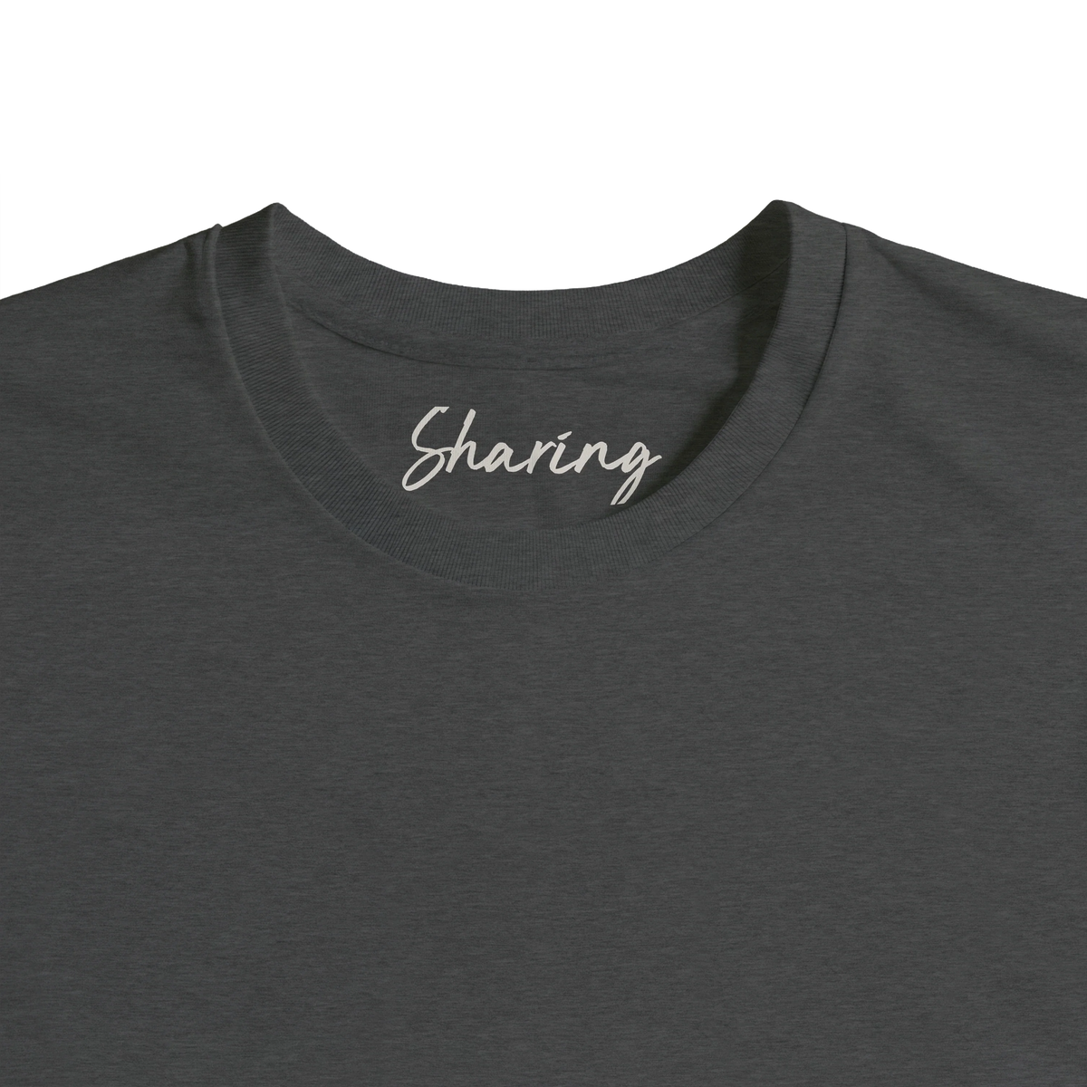 Sharing - "Little Secret" T-shirt Grey Melange 2