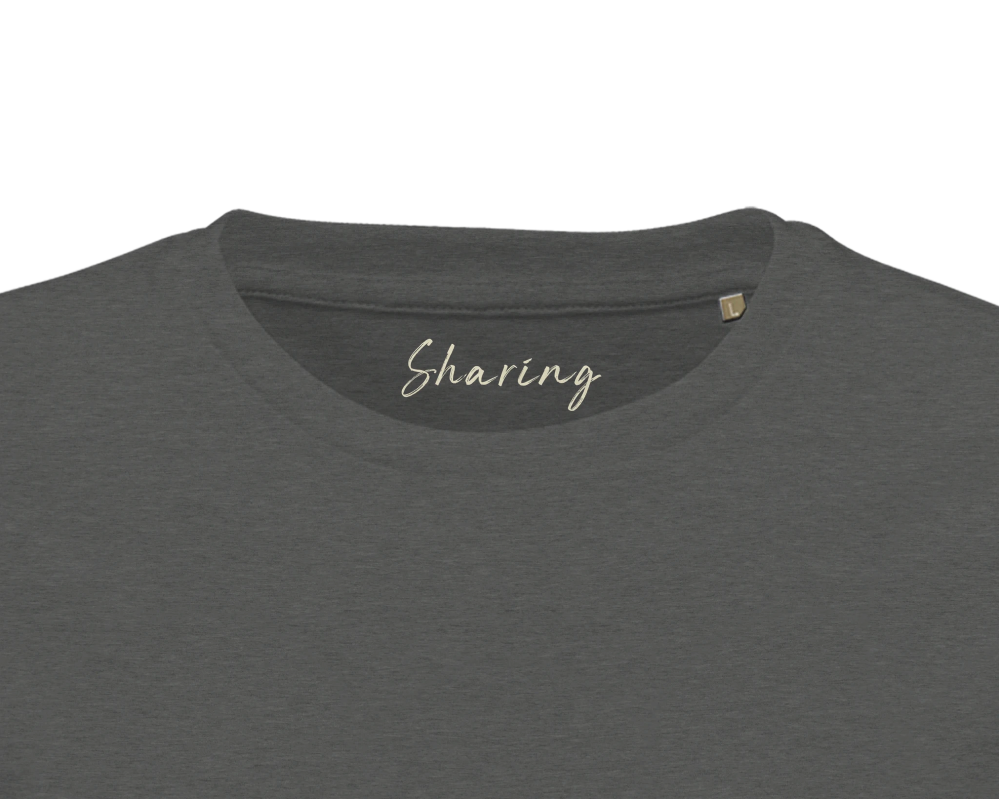 Sharing  T-shirt  "Little Secret"Grey Melange 34