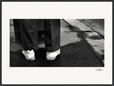 This is Where He Stood Framed print 60x80 cm / 24x32″ Black frame 55