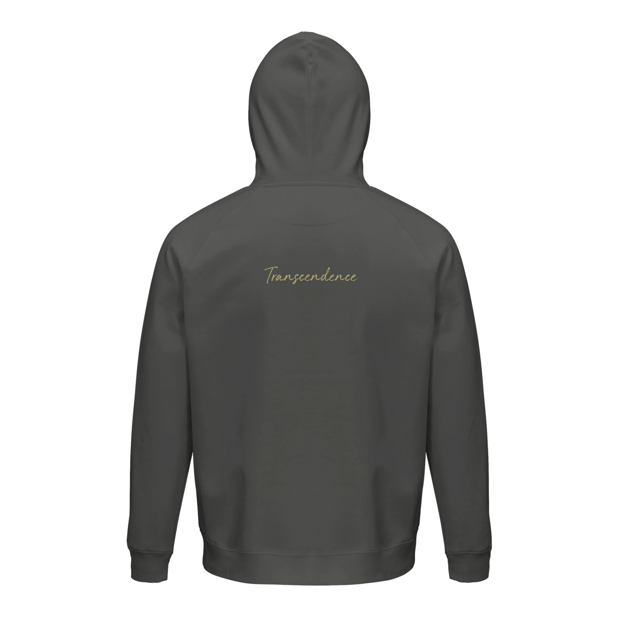 Transcendence - "Ready to Fly" Hoodie charcoal melange XS 10