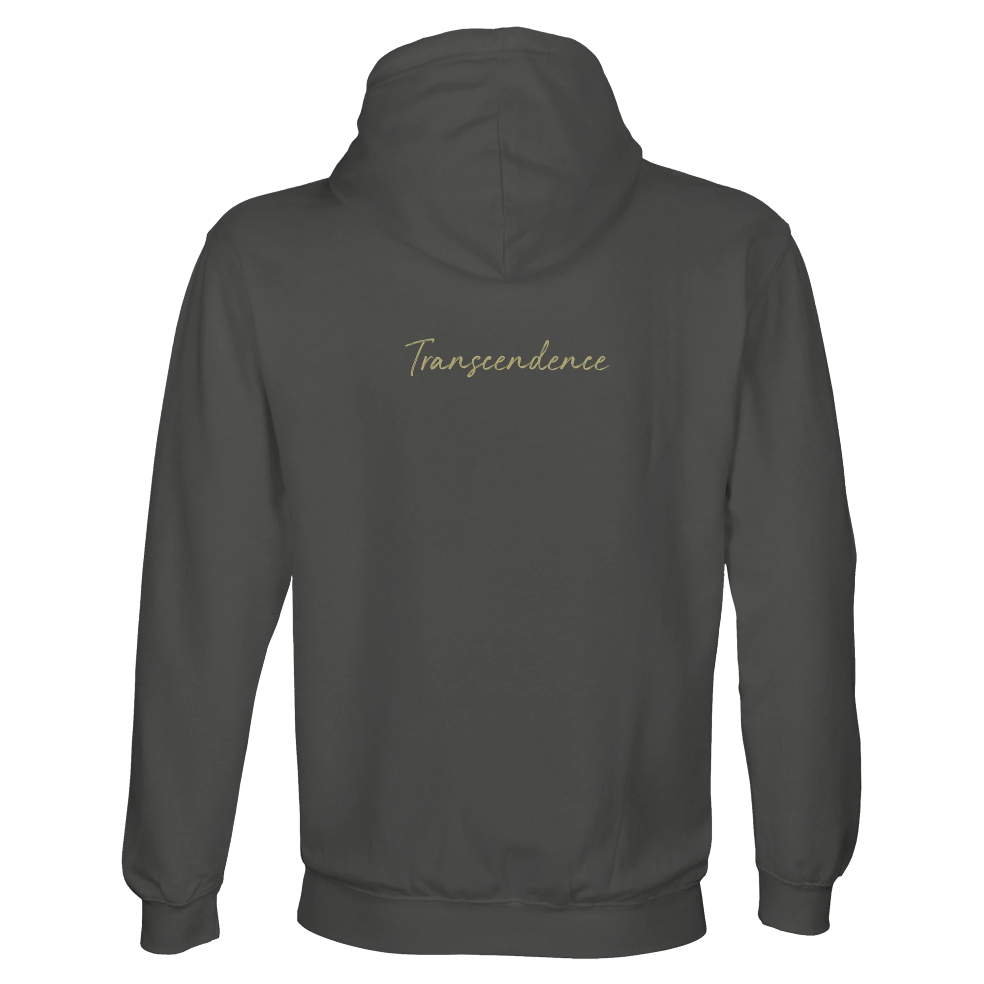 Transcendence - "Ready to Fly" Hoodie charcoal melange XS 2