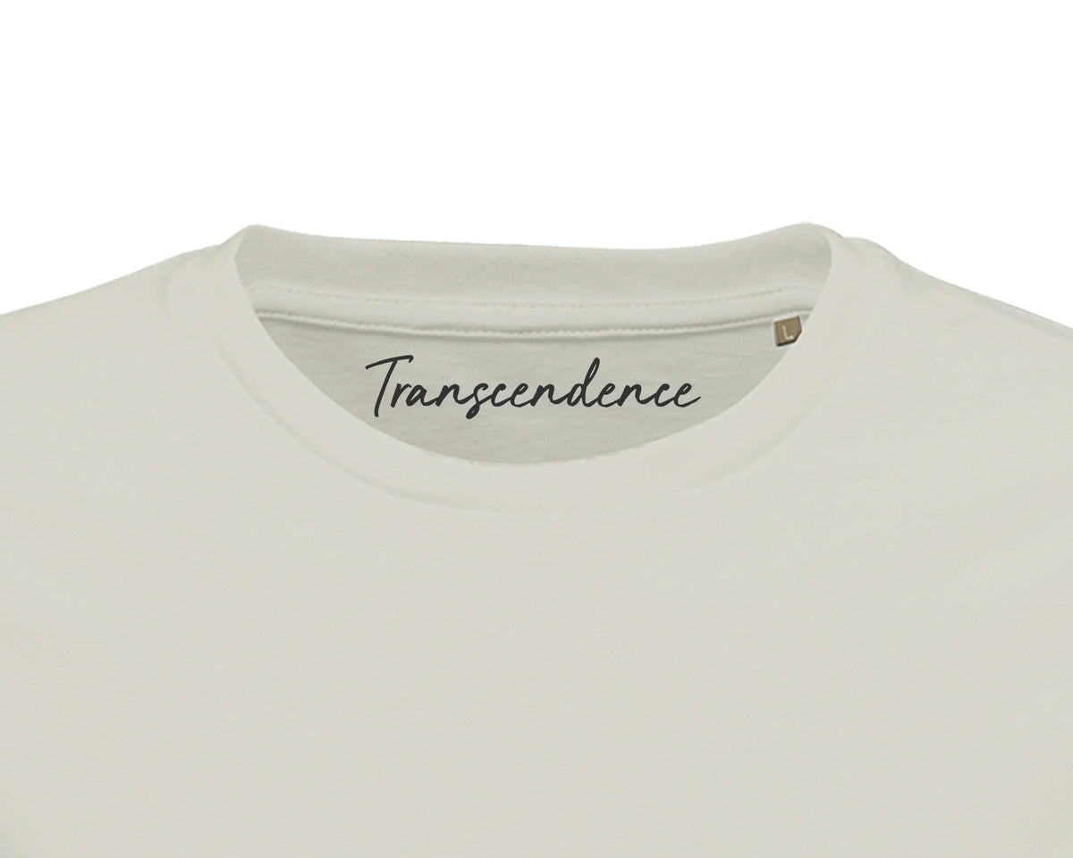 Transcendence - "Ready to Fly" T-shirt Ash 2