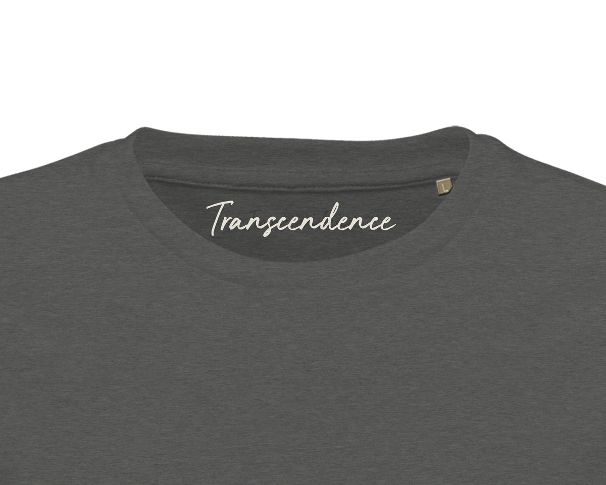 Transcendence - "Ready to Fly" T-shirt Grey Melange 2
