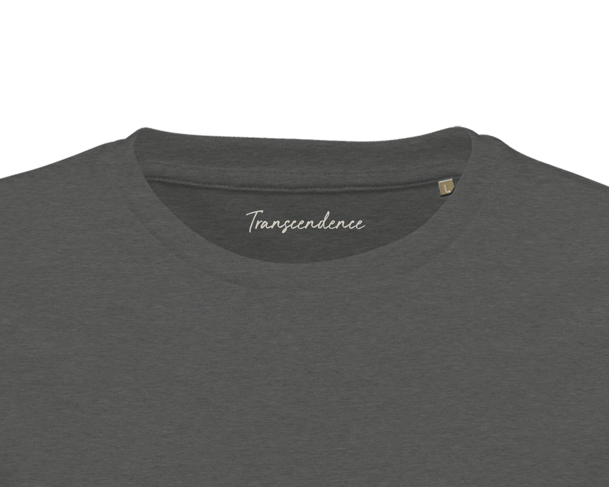 Transcendence - "Ready to Fly" T-shirt Grey Melange 2