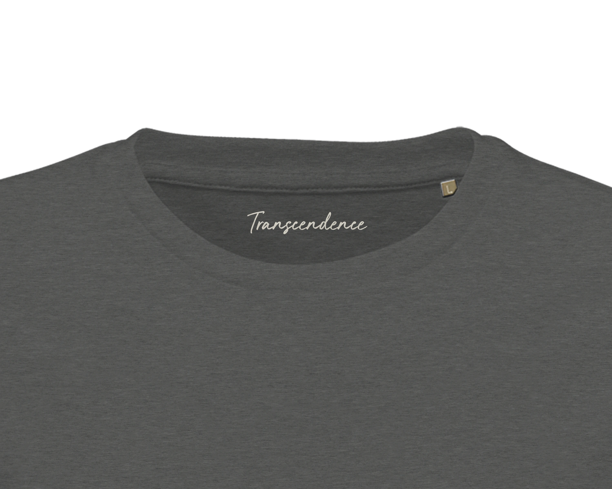 Transcendence - "Ready to Fly" T-shirt Grey Melange 2