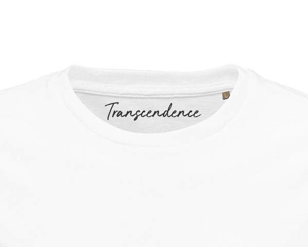 Transcendence - "Ready to Fly"
