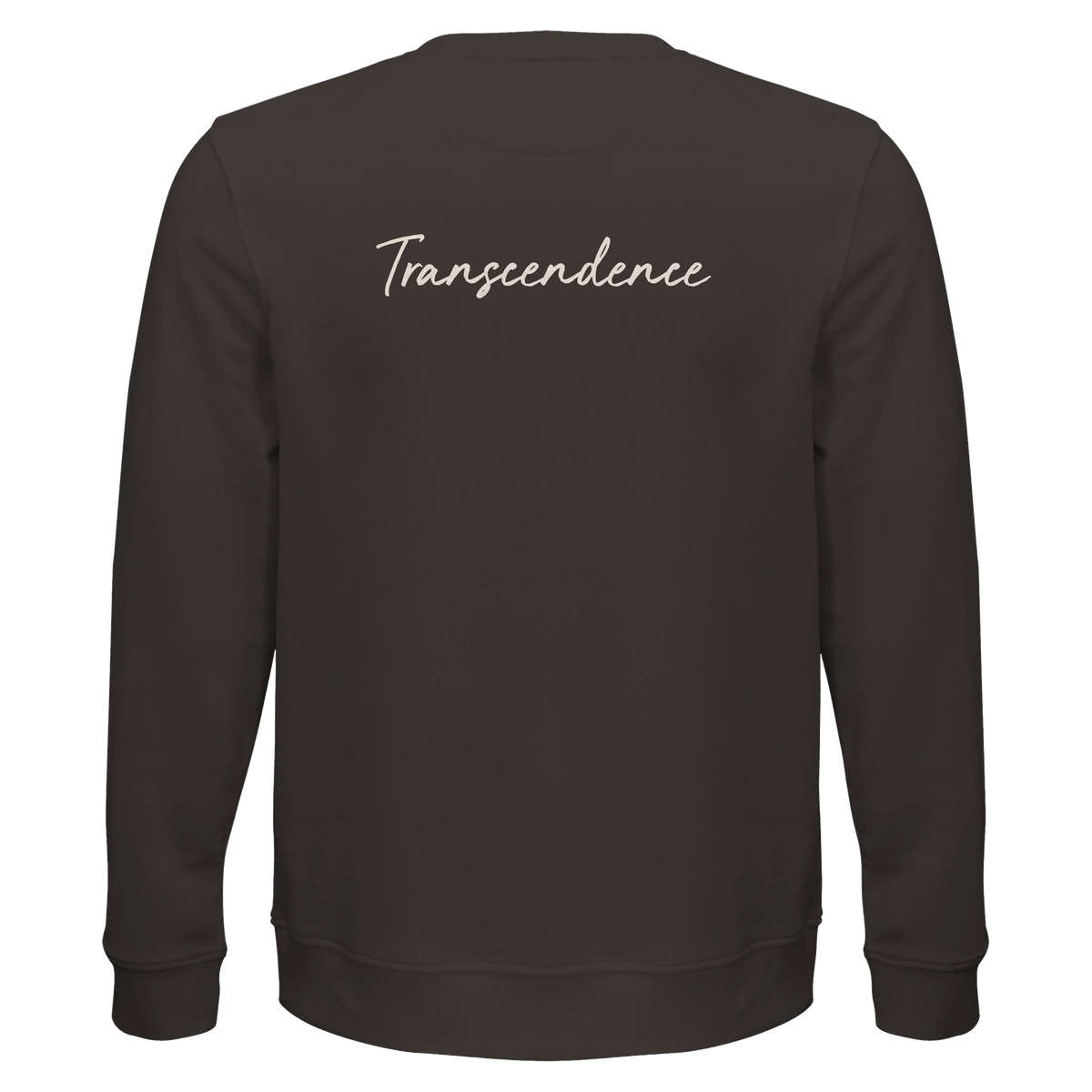 Transcendence - "Ready to Fly" Sweatshirt deep charcoal grey 2