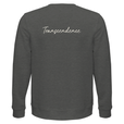Transcendence - "Ready to Fly" Sweatshirt Grey Melange 2