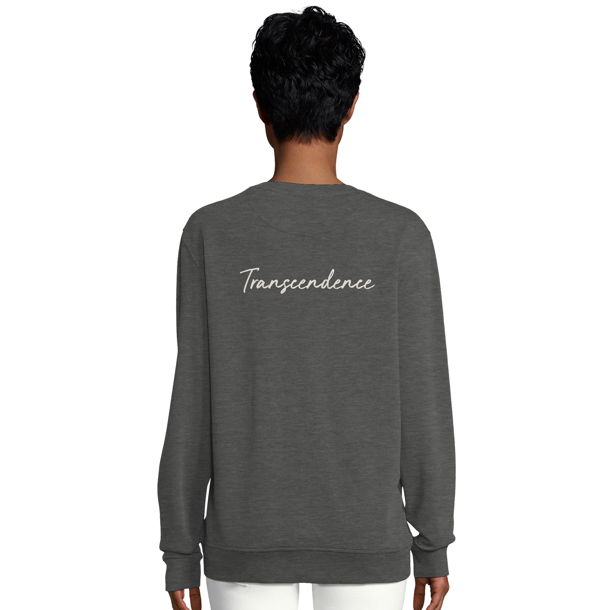 Transcendence - "Ready to Fly" Sweatshirt Grey Melange 6