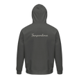 Transcendence - "Ready to Fly" Hoodie charcoal melange 2