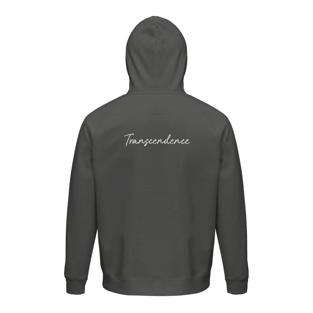 Transcendence - "Ready to Fly" Hoodie charcoal melange 2