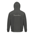 Transcendence - "Ready to Fly" Hoodie charcoal melange 2