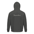 Transcendence - "Ready to Fly" Hoodie Grey Melange 2