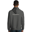 Transcendence - "Ready to Fly" Hoodie Grey Melange 4