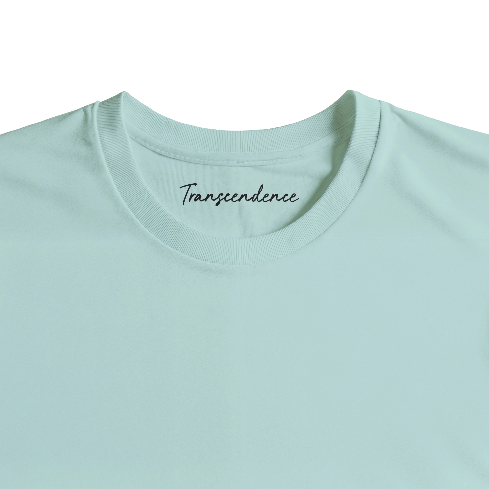 Transcendence - "Ready to Fly" T-shirt arctic blue 2