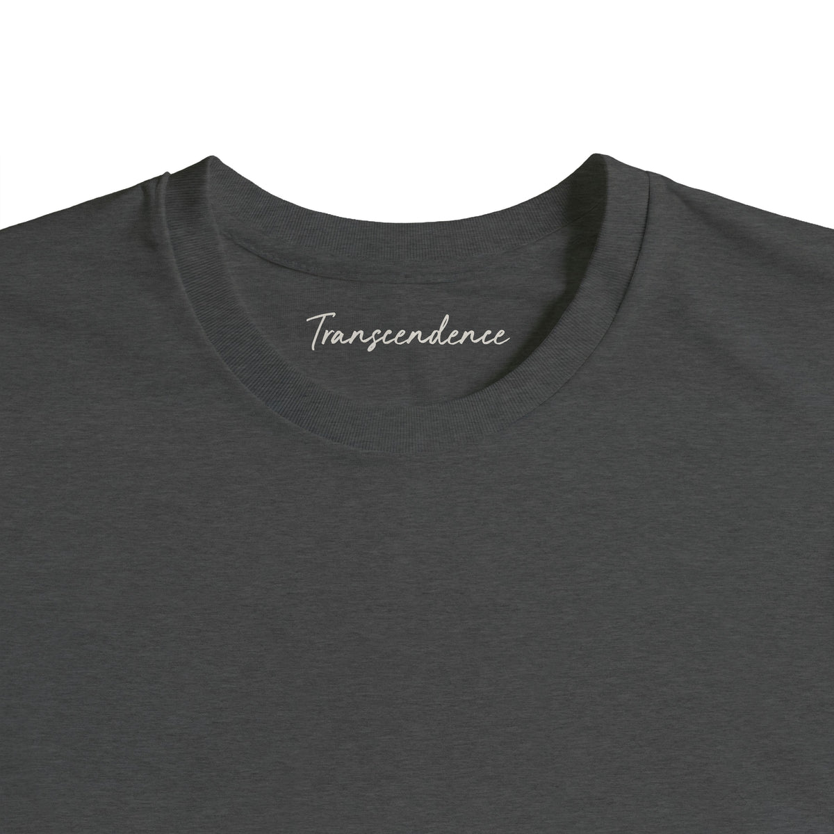 Transcendence - "Ready to Fly" T-shirt Grey Melange 2