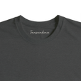 Transcendence - "Ready to Fly" T-shirt Grey Melange 2