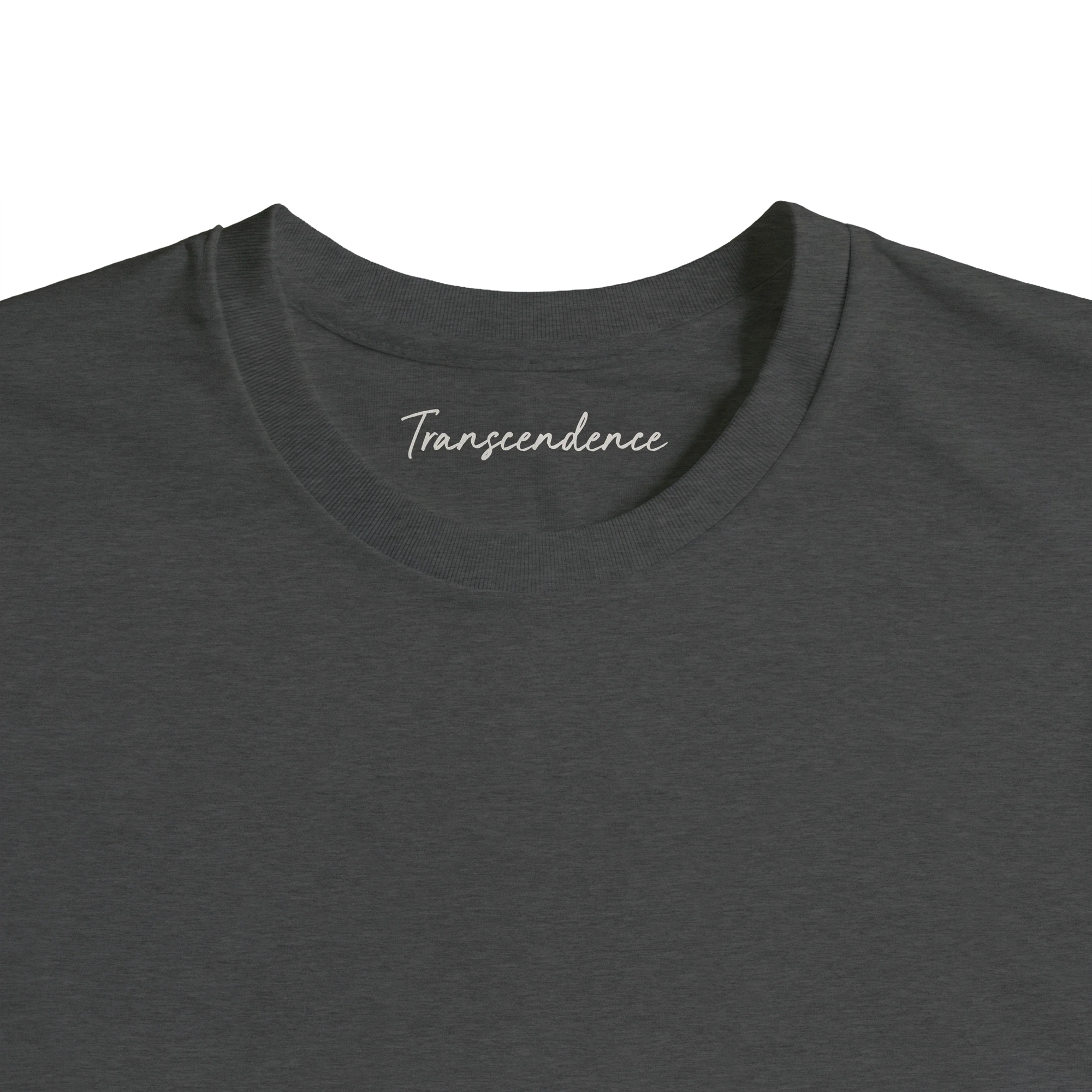 Transcendence - "Ready to Fly" T-shirt Grey Melange 2